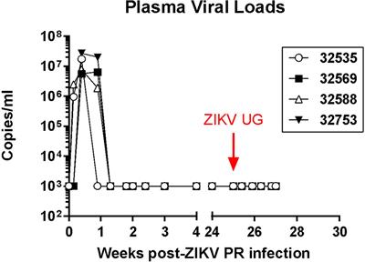 Molecular Approaches for the Validation of the Baboon as a Nonhuman Primate Model for the Study of Zika Virus Infection